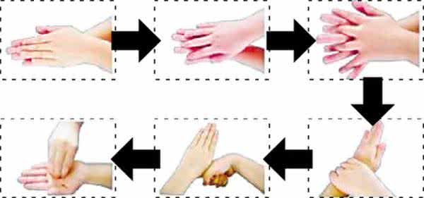 As seis etapas da lavagem das mãos