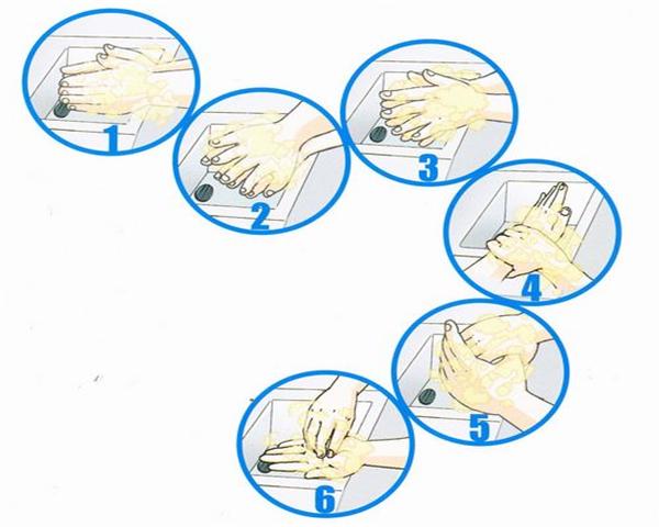 Lavar as mãos com 6 etapas, reduzir o número de bactérias